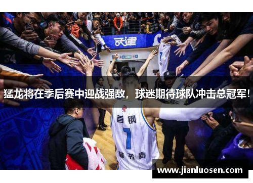 猛龙将在季后赛中迎战强敌，球迷期待球队冲击总冠军！